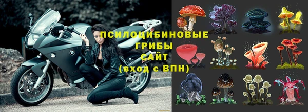 кристаллы Осинники