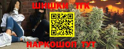 сатива Гагарин