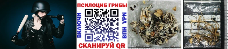Галлюциногенные грибы мухоморы  Касимов 