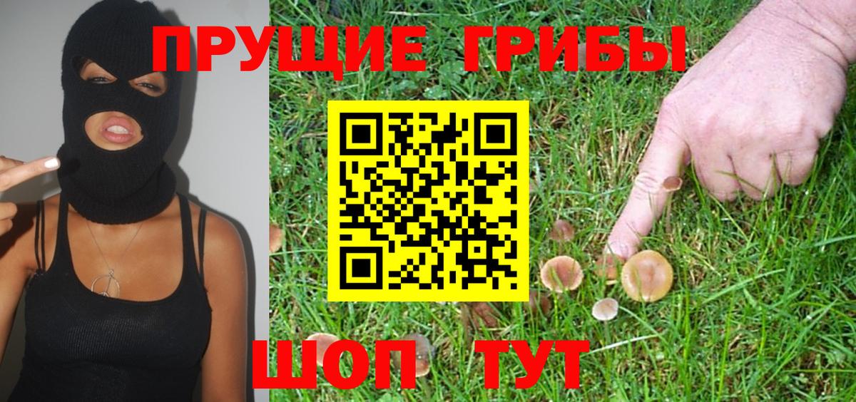 Псилоцибиновые грибы GOLDEN TEACHER Касимов