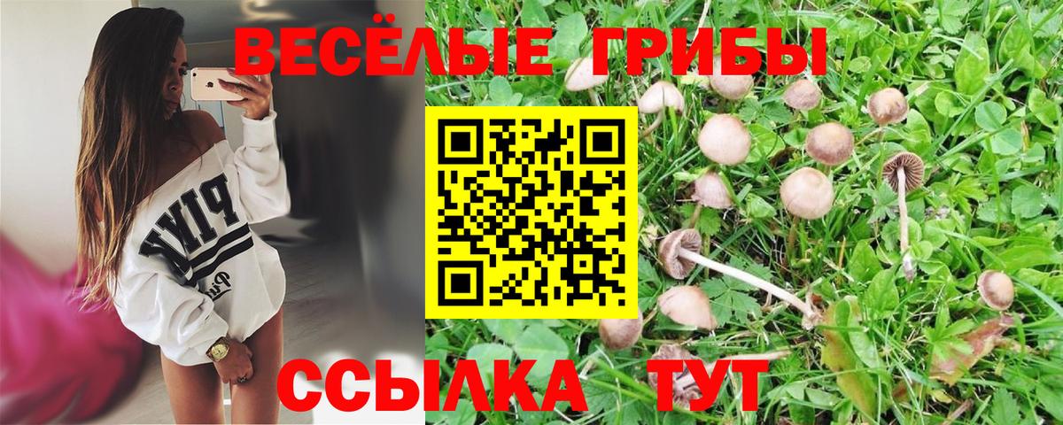 Галлюциногенные грибы Magic Shrooms Касимов
