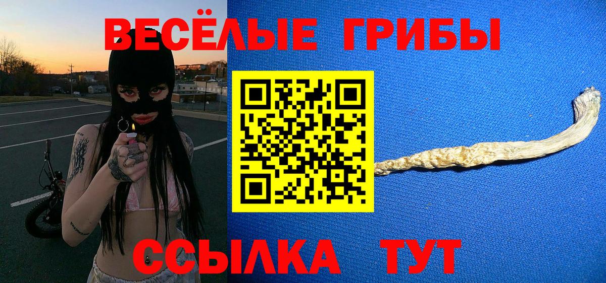 Псилоцибиновые грибы ЛСД  магазин продажи наркотиков  Касимов 